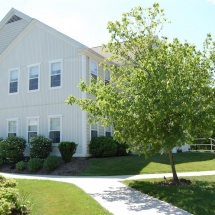 Seabury side2